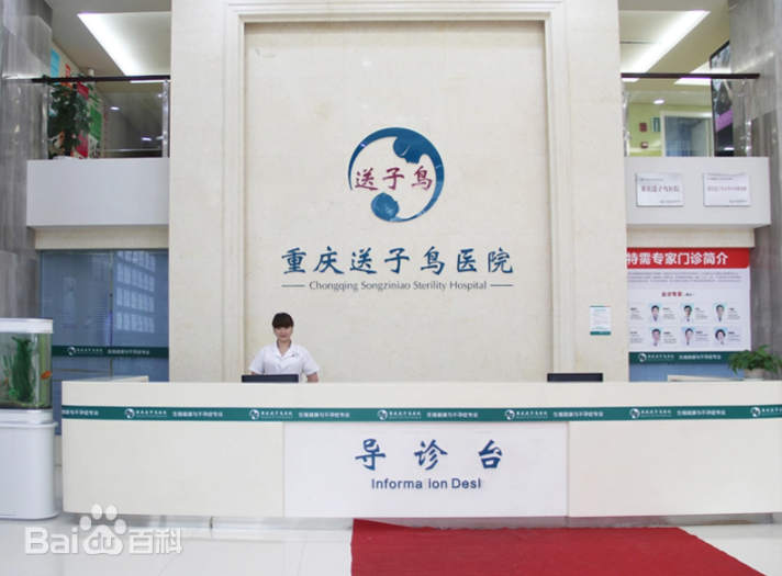 重慶送子鳥怎么樣？您的希望就是我們的愿望